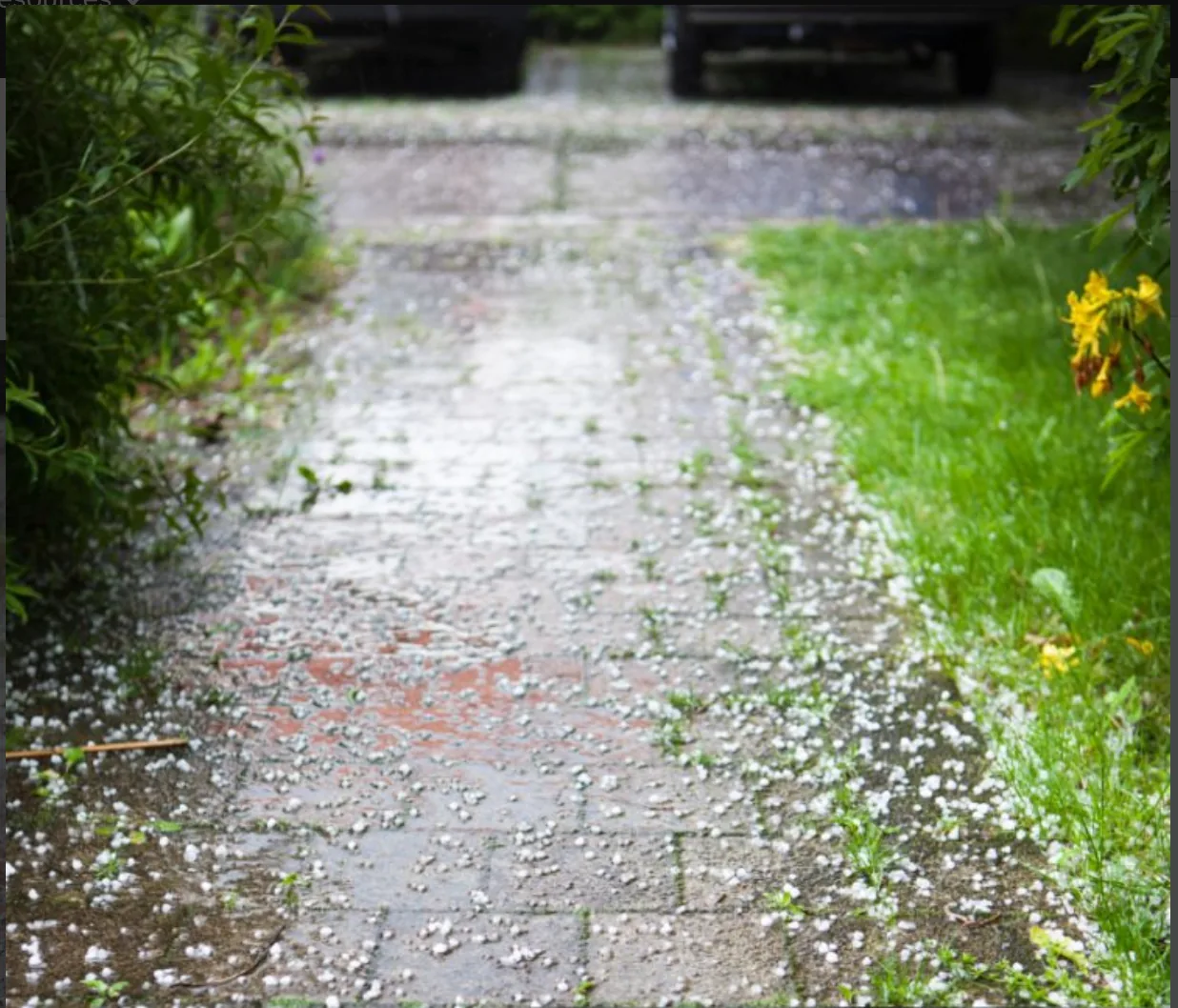 Icy hail-covered walkway requiring de-icing